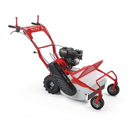 Trinciasarmenti Bluebird SG 0812 A