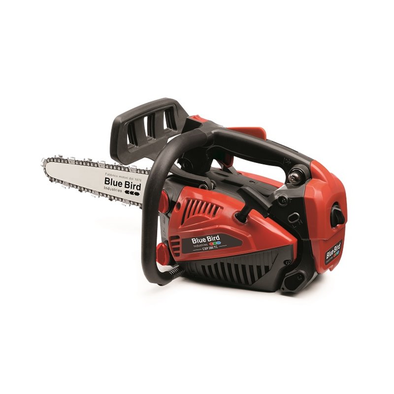 Chainsaw Bluebird CSP 280T carving Chainsaw Bluebird CSP 280T carving