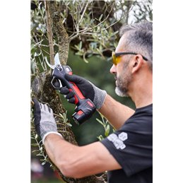Pruning shear Bluebird PS 23-25 Faster
