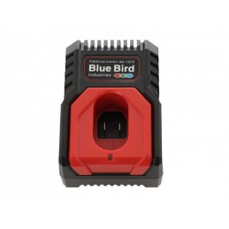 Chargeur 8,4 V
