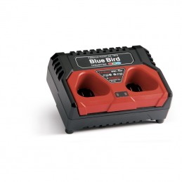 Chargeur 16.8 V