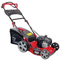 Motor Lawn Movers